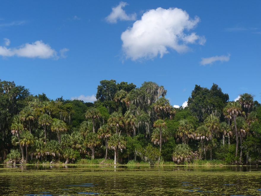 Click to See Next Image